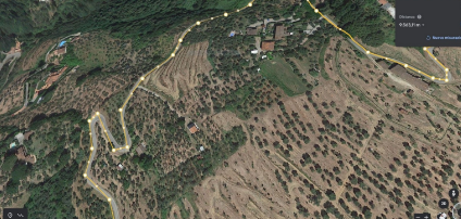 Le piante tipiche