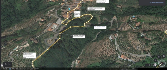 Gli olivi